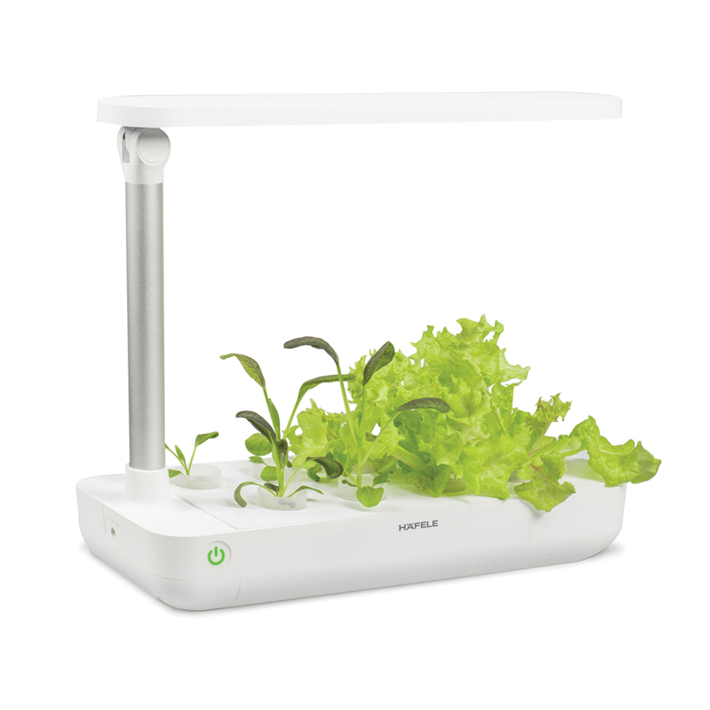 Hộp trồng cây EasyGrow Table Box (T-Box) Hafele BM-T001WH - 539.76.980