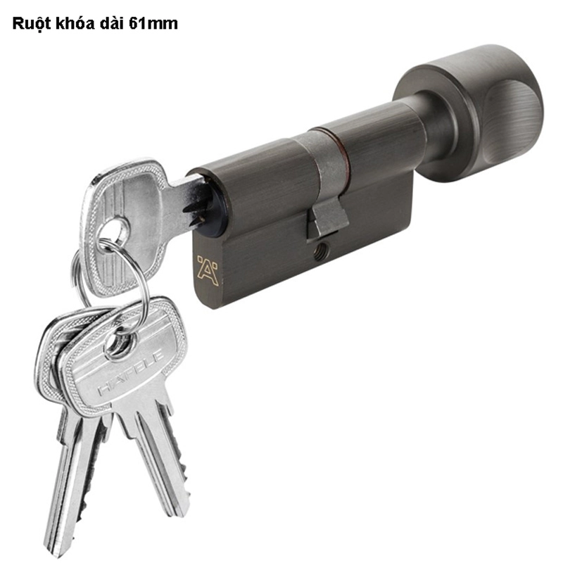 Ruột khóa Hafele một đầu chìa, một đầu vặn dài 61mm - 916.63.321